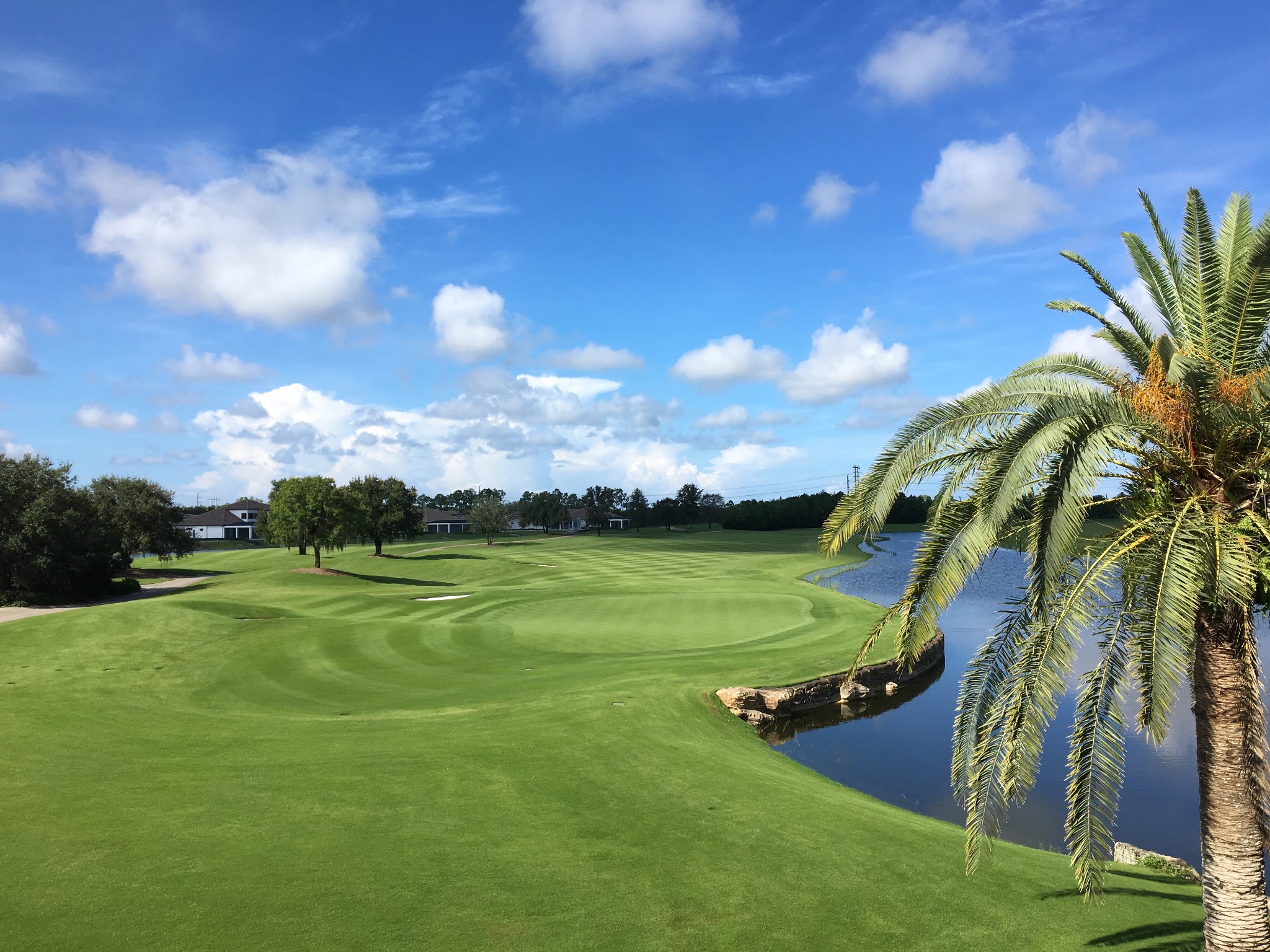 Southwest Florida golf course and palm-lined lake